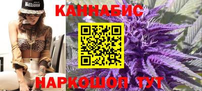 стафф Ачхой-Мартан