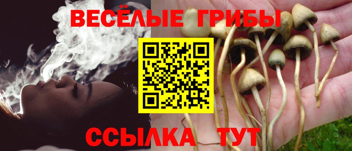 Галлюциногенные грибы GOLDEN TEACHER Александров